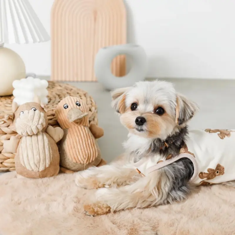 コーデュロイのあひるさん