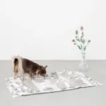 ノーズワークデコレーションバイカラーマット