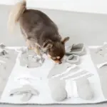 ノーズワークデコレーションバイカラーマット