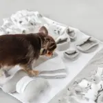 ノーズワークデコレーションバイカラーマット