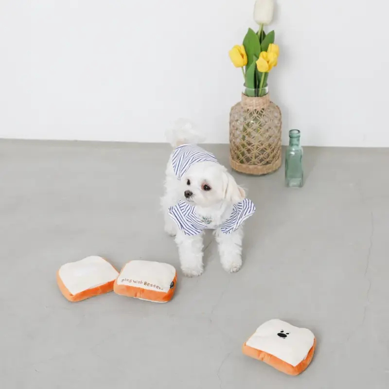 ノーズワーク食パン3SET