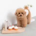 シリコンカップケーキ