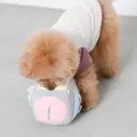 ノーズワークサイコロボール