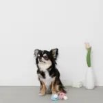 手編みのおしゃぶりおもちゃ