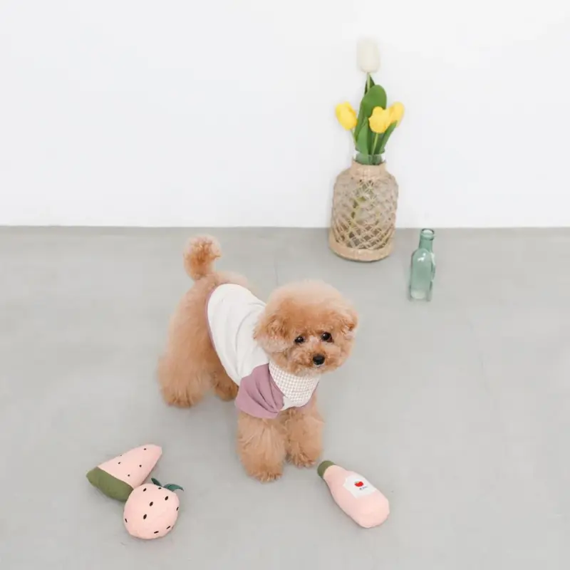 ピンクのスイカのおもちゃ