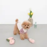 ピンクのスイカのおもちゃ