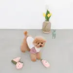 ピンクのトマトソースのおもちゃ