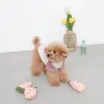 ピンクのトマトソースのおもちゃ