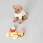 ハンバーガーとポテトのおもちゃ