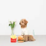 ハンバーガーとポテトのおもちゃ