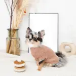 ノーズワークホットケーキ