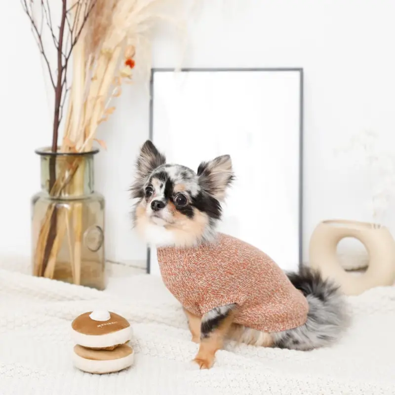 ノーズワークホットケーキ