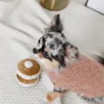 ノーズワークホットケーキ