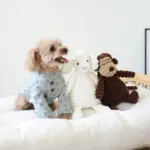 コーデュロイのひつじさん