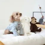 コーデュロイのひつじさん