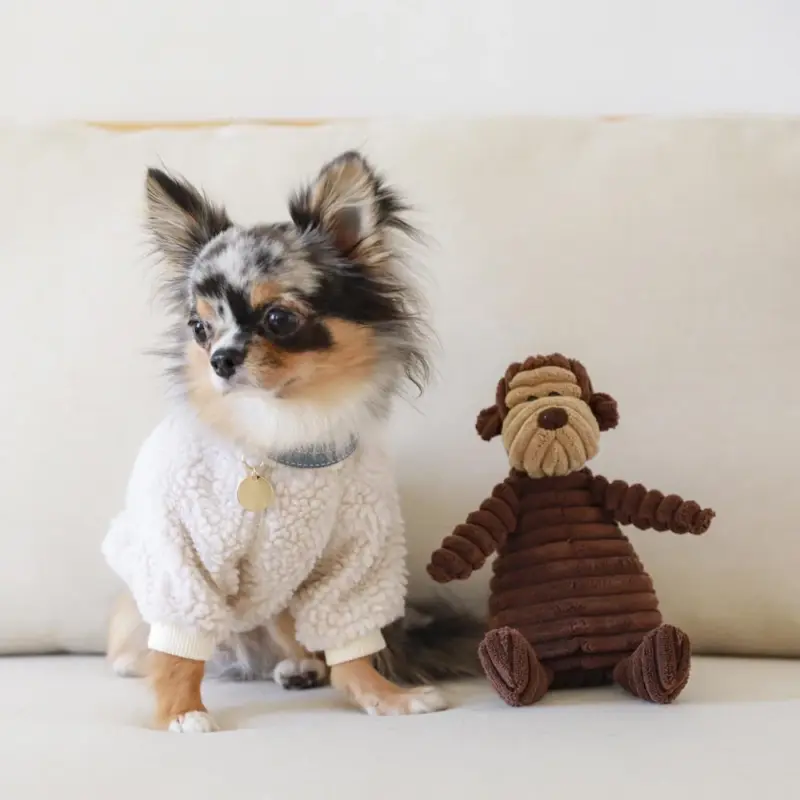 コーデュロイのサルさん