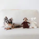 コーデュロイのサルさん