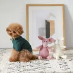 コーデュロイのブタさん