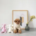 コーデュロイのブタさん