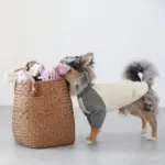 コーデュロイのブタさん