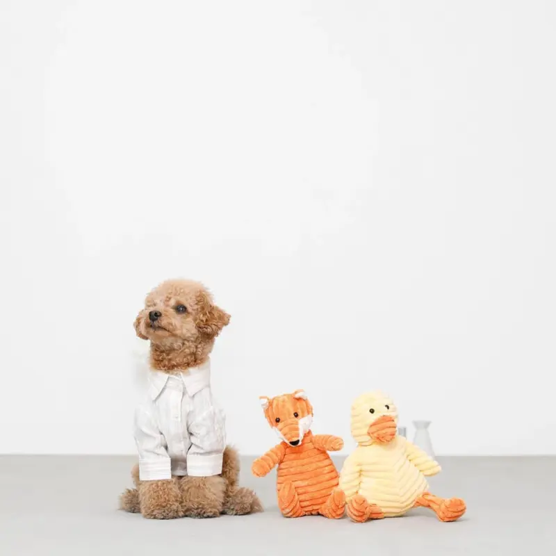 コーデュロイのアヒルさん