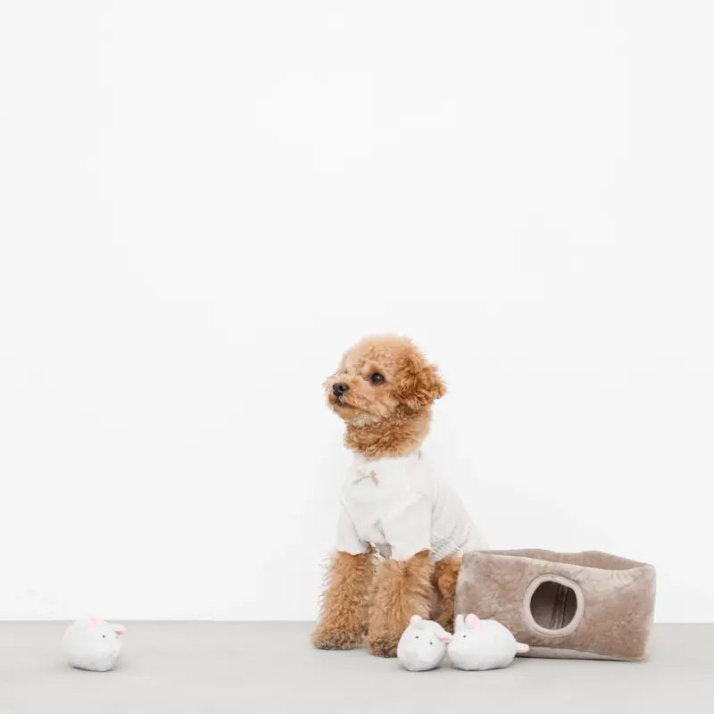 3匹のねずみさんのおもちゃ おうち付