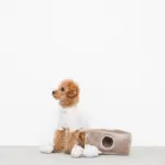 3匹のねずみさんのおもちゃ おうち付