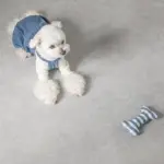 ギンガムチェックボーン