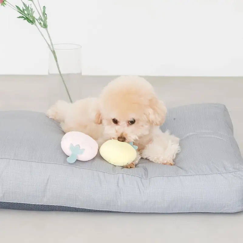 イチゴとパインのおもちゃ