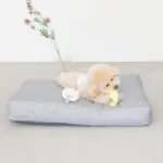 イチゴとパインのおもちゃ