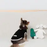 ツリーとトナカイ