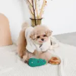 ツリーとトナカイ