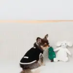 ツリーとトナカイ