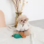 ツリーとトナカイ