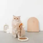 キャットパンチングおもちゃ