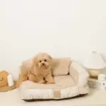 ソファーベッド【名入れ刺繍対応】