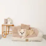 ソファーベッド【名入れ刺繍対応】