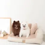 ソファーベッド【名入れ刺繍対応】