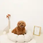 ギンガムチェックドーナツクッションベッド