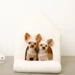 ナチュラル小窓付きコーデュロイペットハウス