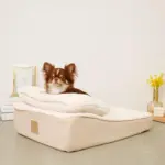 低反発まくら付きスロープクッションベッド