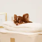 低反発まくら付きスロープクッションベッド