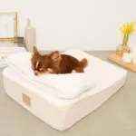 低反発まくら付きスロープクッションベッド