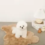 くまさんファーマット