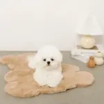 くまさんファーマット