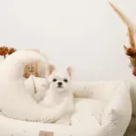 撥水お星さまとお月さま柄刺繍キルティングクッションベッド