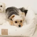 撥水お星さまとお月さま柄刺繍キルティングクッションベッド