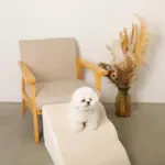 ファースエードスローステップ階段