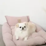 3wayクッションベッド