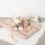 3wayクッションベッド